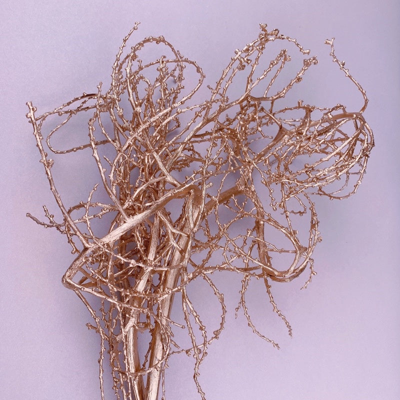 🇸🇬[SG Stock]Preserved Flowers Dried Flowers Gold Tree Branches Singapore Local Wholesaler Home Decoration/DIY/Wedding