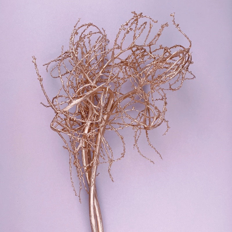 🇸🇬[SG Stock]Preserved Flowers Dried Flowers Gold Tree Branches Singapore Local Wholesaler Home Decoration/DIY/Wedding