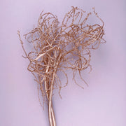 Preserved Flowers Gold Tree Branches | DreamGarden SG