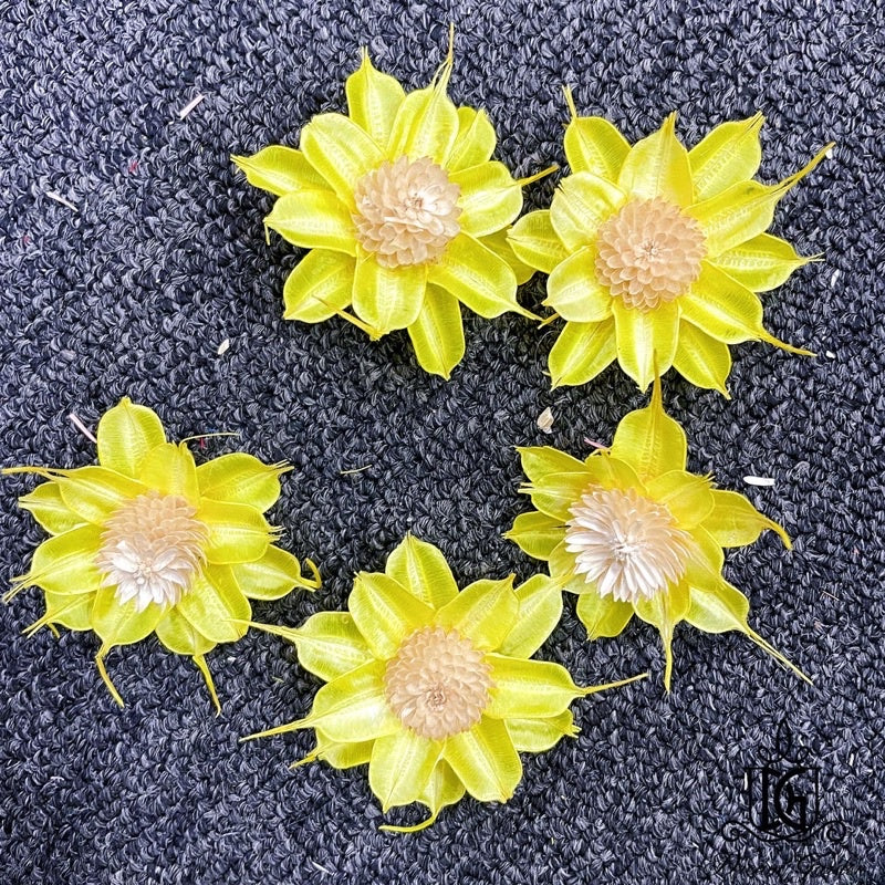 🇸🇬[SG Stock]SG Stock New Arrival Dried Flower Sola Flowers Wood Flower Handmade Flower Chrysanthemum Lotus Peony