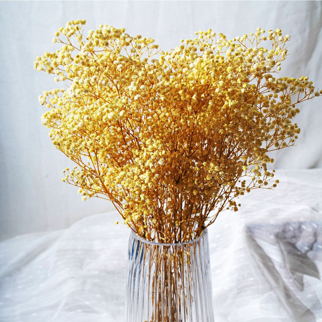 🇸🇬[SG Stock]Singapore Local Wholesaler Preserved Flowers Dried Flowers Preserved Babybreath Home Decoration/DIY/Wedding