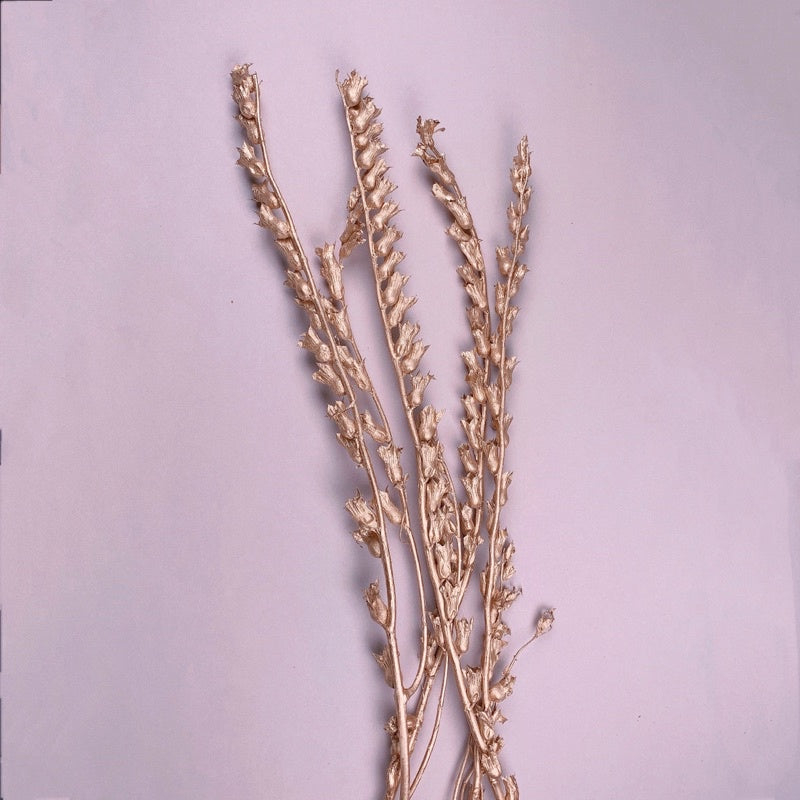 🇸🇬[SG Stock]Preserved Flowers Dried Flowers Gold Dried Wind Chime Singapore Local Wholesaler Home Decoration/DIY/Wedding