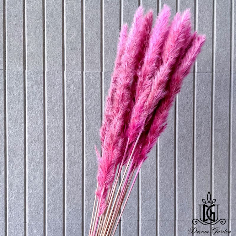 🇸🇬[SG Stock] Dried Flower Preserved  preserved flower wholesaler Dried bleach Small Pampas Grass