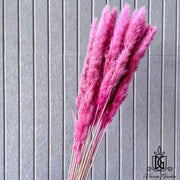 Dried Flower Preserved preserved flower Dried bleach | DreamGarden SG