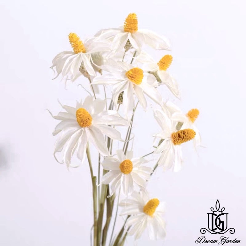 🇸🇬[SG Stock] SG Local Largest Wholesaler Handmade Daisy Chrysanthemum Dried Flowers Suitable For Decoration/Wedding/DIY