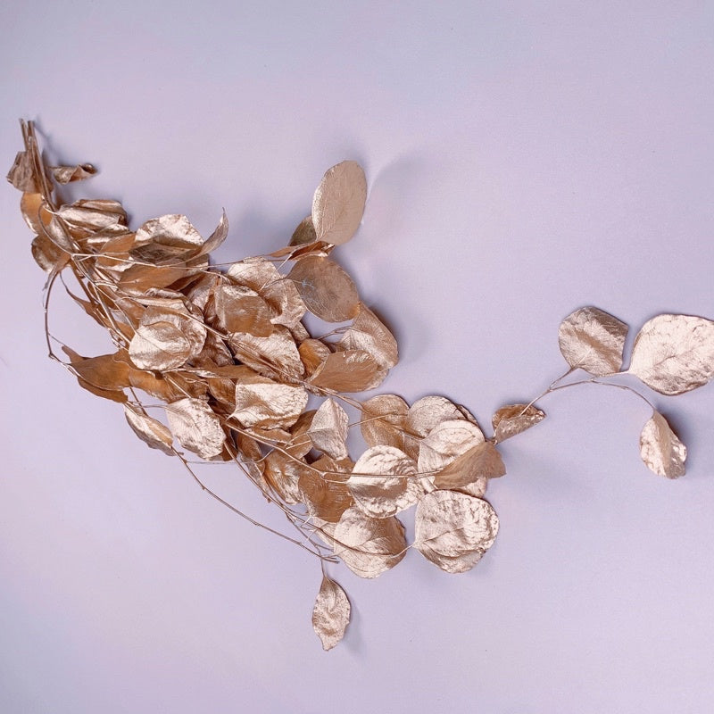 🇸🇬[SG Stock]Preserved Flowers Dried Flowers Preserved Eucalyptus Populus Singapore Local Home Decoration/DIY/Wedding