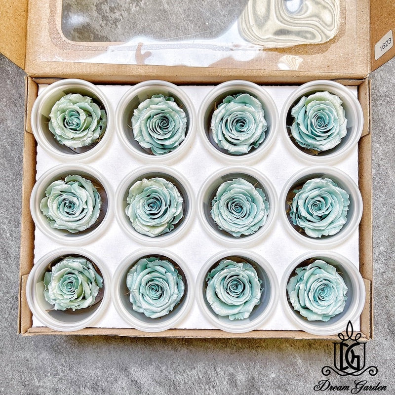 🇸🇬[SG Stock] Pearl Color RoseAmor Austin Japanese Preserved Roses Ecuador Preserved Roses Singapore Local Wholesalers