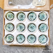 Pearl Color RoseAmor Austin Japanese Preserved Roses | DreamGarden SG