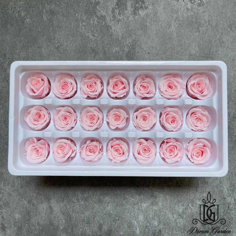 🇸🇬[SG Stock][Dream Garden]Grade A Preserved Roses 2cm-3cm Preserved Flowers Dried Flowers Home Decoration/DIY/Wedding
