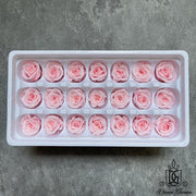 Grade A Preserved Roses 2cm-3cm | DreamGarden SG