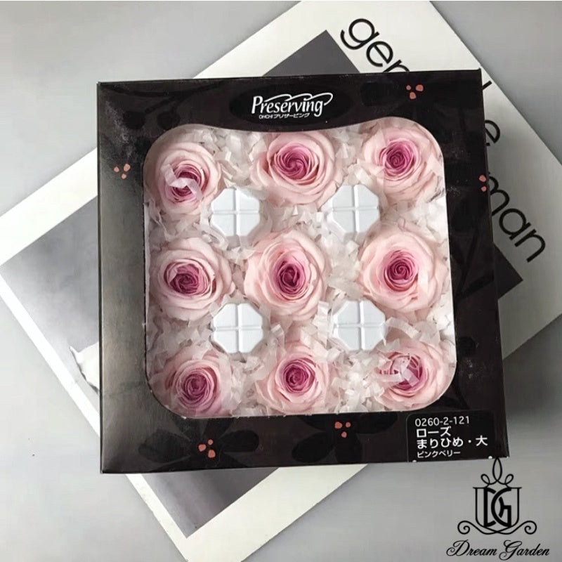 🇸🇬[SG Stock]🇸🇬SG Local Largest Wholesaler Japanese Earth Matters Preserved Austin roses Gradient color Preserved Flowers