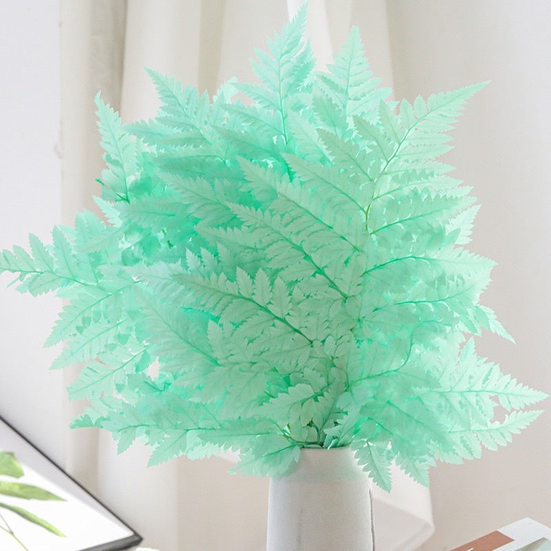 🇸🇬[SG Stock]Preserved Rainbow Fern Dried Flowers Preserved Singapore Local Wholesalers Home Decoration/DIY/Wedding