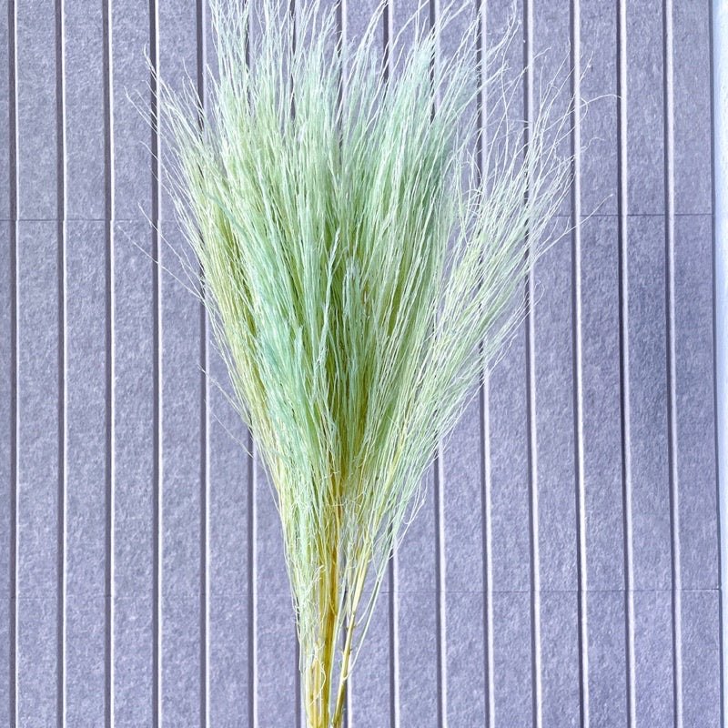 🇸🇬[SG Stock] Preserved Feather Grass For Christmas Home Decor/DIY/Wedding/Glass Cover Dome Dried Eternal Flowers