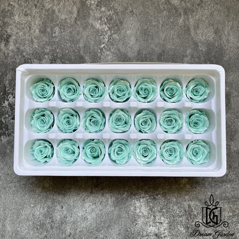 🇸🇬[SG Stock] Singapore Local Dream Garden Preserved Flowers Dried Flowers Pearl/Satin Preserved Roses Grade A 2-3cm