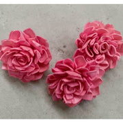 Preserved Flowers Colored Sola Flowers Wood Flower 2 | DreamGarden SG
