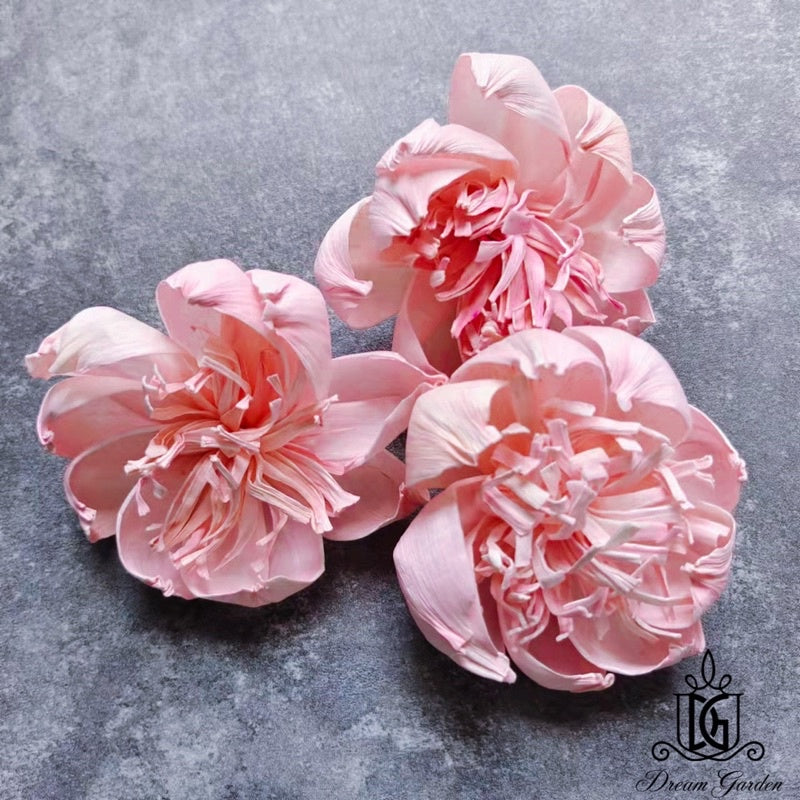 🇸🇬[SG Stock]SG Stock New Arrival Dried Flower Sola Flowers Wood Flower Handmade Flower Chrysanthemum Lotus Peony