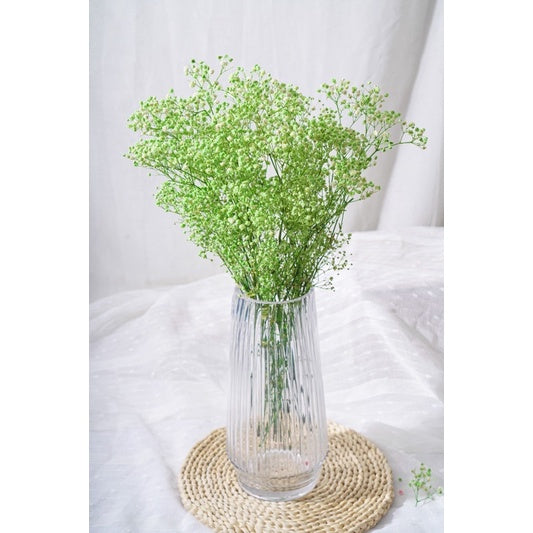 🇸🇬[SG Stock]Preserved Flowers Dried Flowers Preserved Baby Breath Singapore Local Florist/Home Decoration/DIY/Wedding