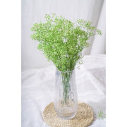 Preserved Baby Breath | DreamGarden SG