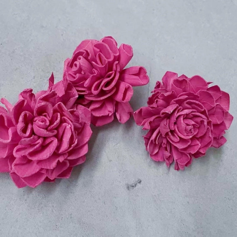 🇸🇬[SG Stock]Preserved Flowers Dried Flowers Colored Sola Flowers Wood Flower Handmade Flower Chrysanthemum Lotus Peony