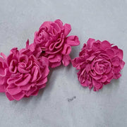 Preserved Flowers Colored Sola Flowers Wood Flower 2 | DreamGarden SG