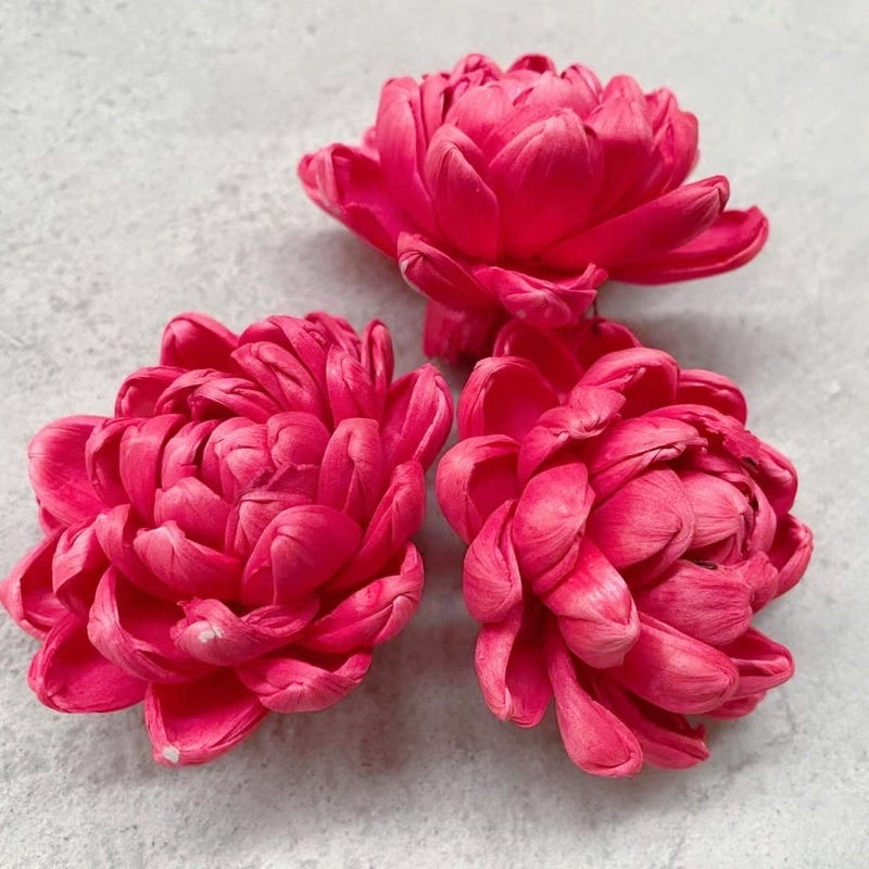 🇸🇬[SG Stock]Preserved Flowers Dried Flowers Colored Sola Flowers Wood Flower Handmade Flower Chrysanthemum Lotus Peony