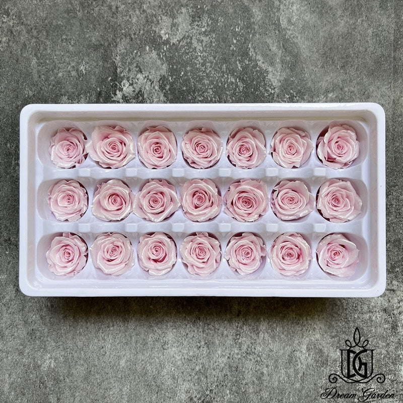 🇸🇬[SG Stock] Singapore Local Dream Garden Preserved Flowers Dried Flowers Pearl/Satin Preserved Roses Grade A 2-3cm