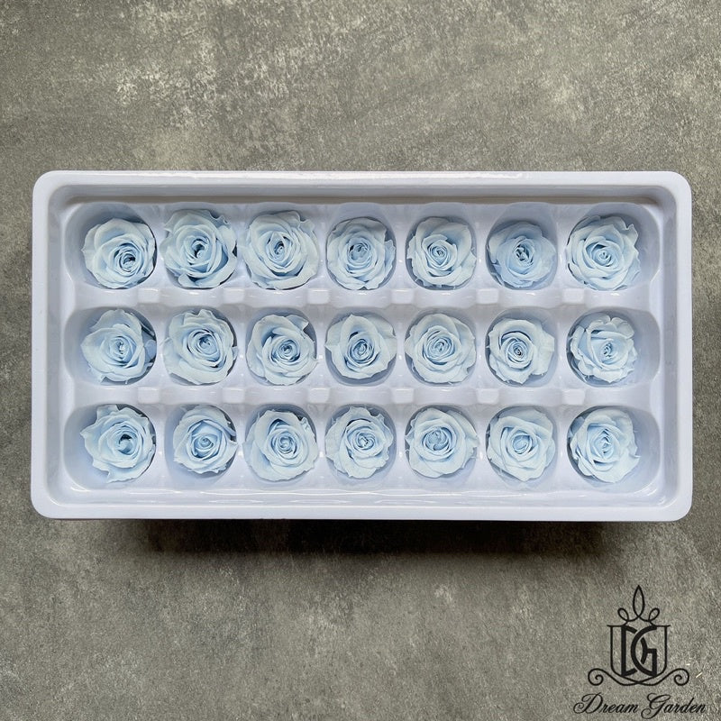 🇸🇬[SG Stock][Dream Garden]Grade B Preserved Roses 2cm-3cm Preserved Flowers Dried Flowers Home Decoration/DIY/Wedding