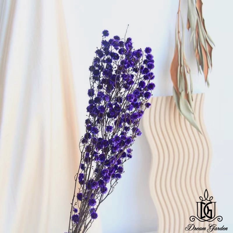🇸🇬[SG Stock] Preserved Flower Branches For Home Decor/DIY/Wedding/Glass Cover Dome Dried Eternal Stirlingia Flowers