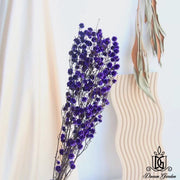 Preserved Flower Branches For Home | DreamGarden SG