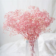 Preserved Flowers Dried Flowers Preserved Babybreath Home Decoration/DIY/Wedding