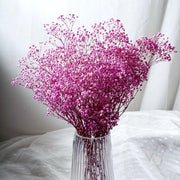 Preserved Flowers Dried Flowers Preserved Babybreath Home Decoration/DIY/Wedding