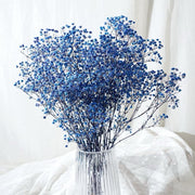 Preserved Flowers Dried Flowers Preserved Babybreath Home Decoration/DIY/Wedding