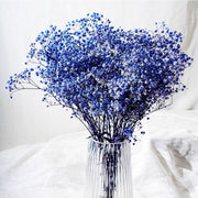 Preserved Flowers Dried Flowers Preserved Babybreath Home Decoration/DIY/Wedding