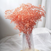 Preserved Flowers Dried Flowers Preserved Babybreath Home Decoration/DIY/Wedding
