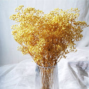 Preserved Flowers Dried Flowers Preserved Babybreath Home Decoration/DIY/Wedding