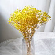 Preserved Flowers Dried Flowers Preserved Babybreath Home Decoration/DIY/Wedding