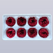 Everlasting Austin Roses™ | Preserved Heirloom Floral Collection