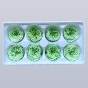 Everlasting Austin Roses™ | Preserved Heirloom Floral Collection