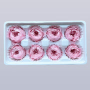 Everlasting Austin Roses™ | Preserved Heirloom Floral Collection