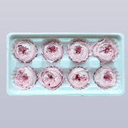 Everlasting Austin Roses™ | Preserved Heirloom Floral Collection