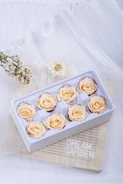Rose 8 Pcs
