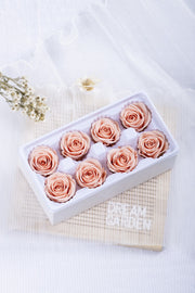 Rose 8 Pcs