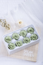 Rose 8 Pcs