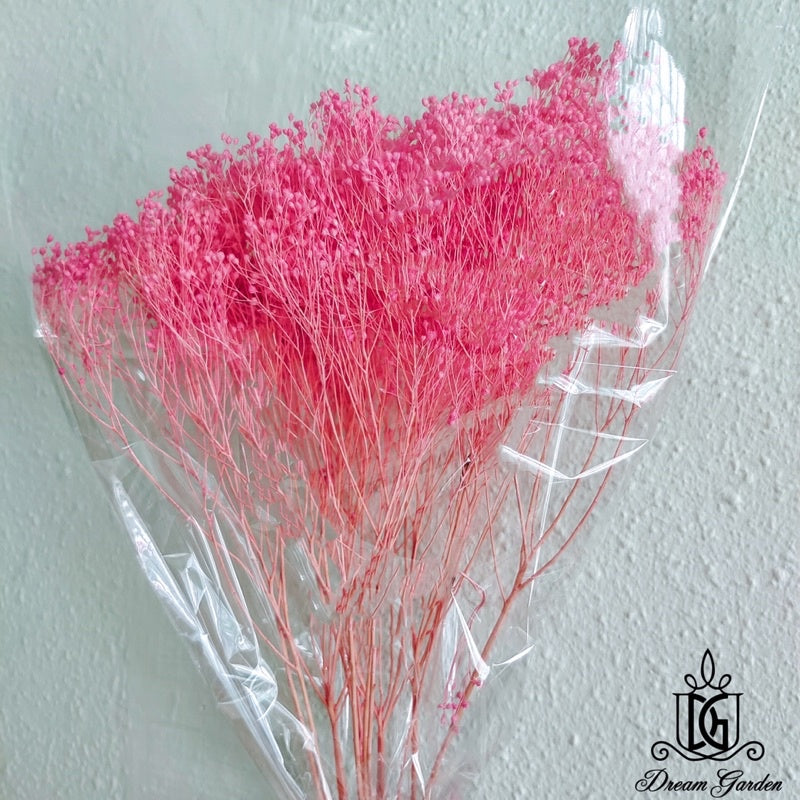 🇸🇬[SG Stock] Singapore Local Wholesalers Dried Broom Bloom Flowers Preserved Flowers Dried Flowers Babybreath