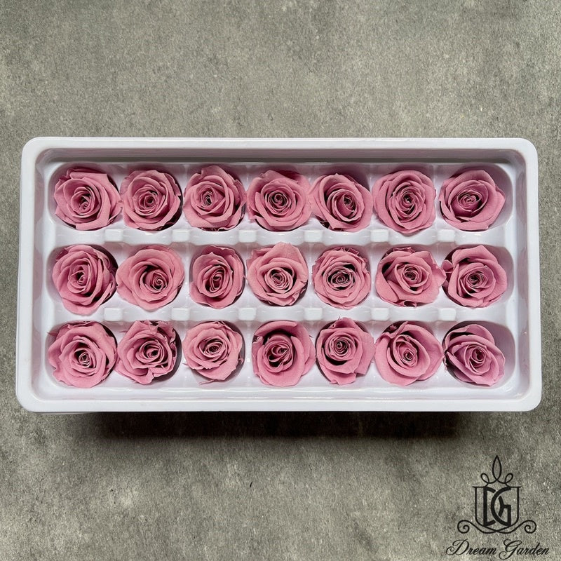 🇸🇬[SG Stock][Dream Garden]Grade A Preserved Roses 2cm-3cm Preserved Flowers Dried Flowers Home Decoration/DIY/Wedding
