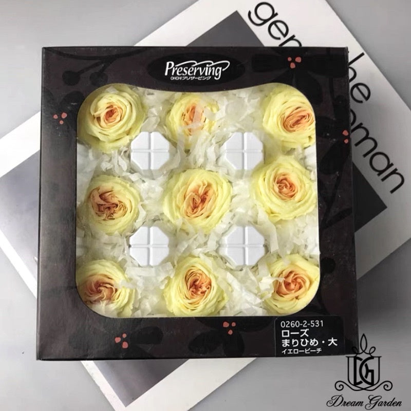 🇸🇬[SG Stock]🇸🇬SG Local Largest Wholesaler Japanese Earth Matters Preserved Austin roses Gradient color Preserved Flowers
