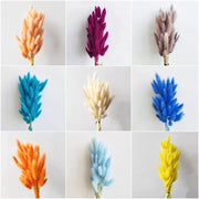 Preserved Bunny Tail Grass For Home | DreamGarden SG