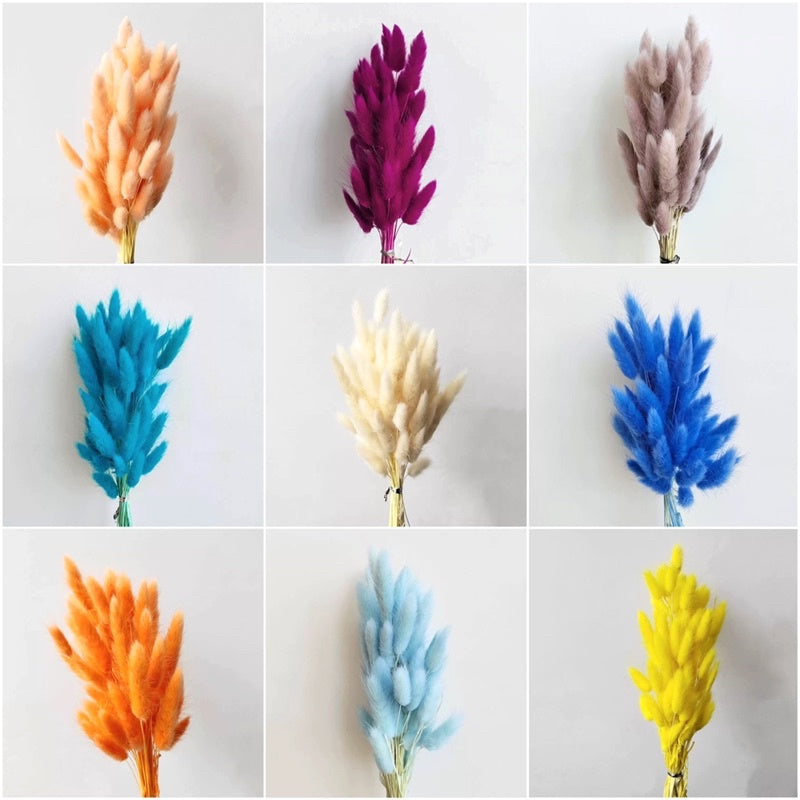 🇸🇬[SG Stock] Preserved Bunny Tail Grass For Home Decor/DIY/Wedding/Glass Cover Dome Dried Eternal Flowers