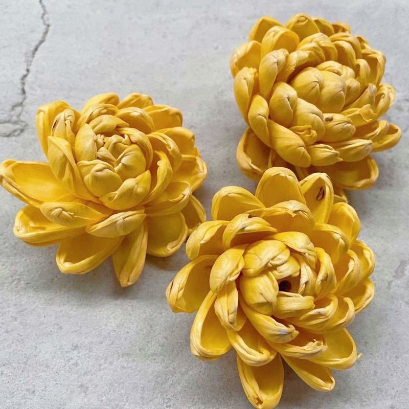 🇸🇬[SG Stock]Preserved Flowers Dried Flowers Colored Sola Flowers Wood Flower Handmade Flower Chrysanthemum Lotus Peony