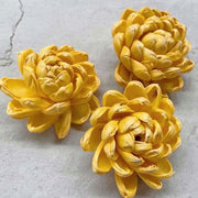 Preserved Flowers Colored Sola Flowers Wood Flower 3 | DreamGarden SG